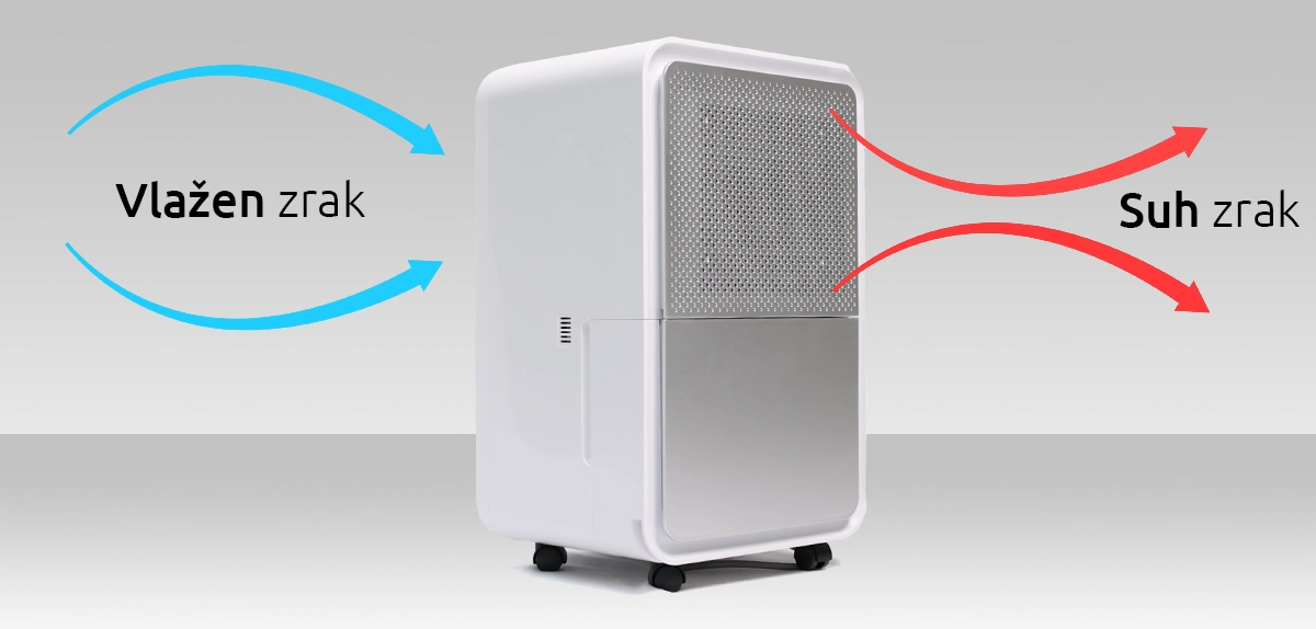 REGULUS Razvlazevalec naslovna