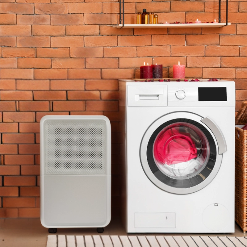 REGULUS Razvlazevalec opis5