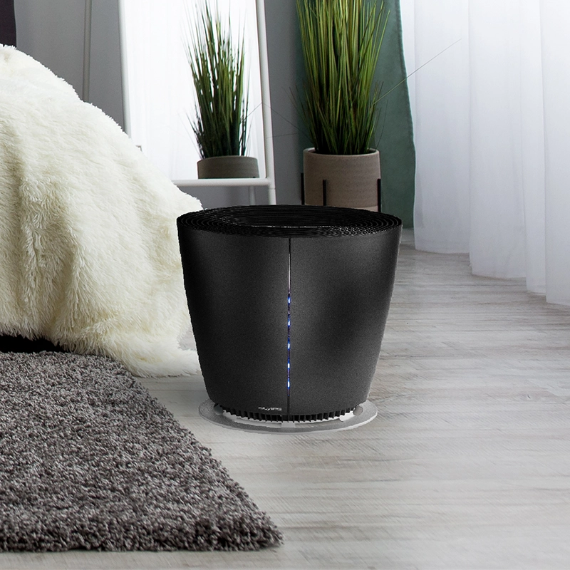 PEGASUS Cistilec zraka opis1