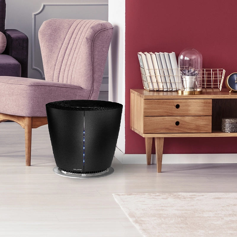 PEGASUS Cistilec zraka opis2